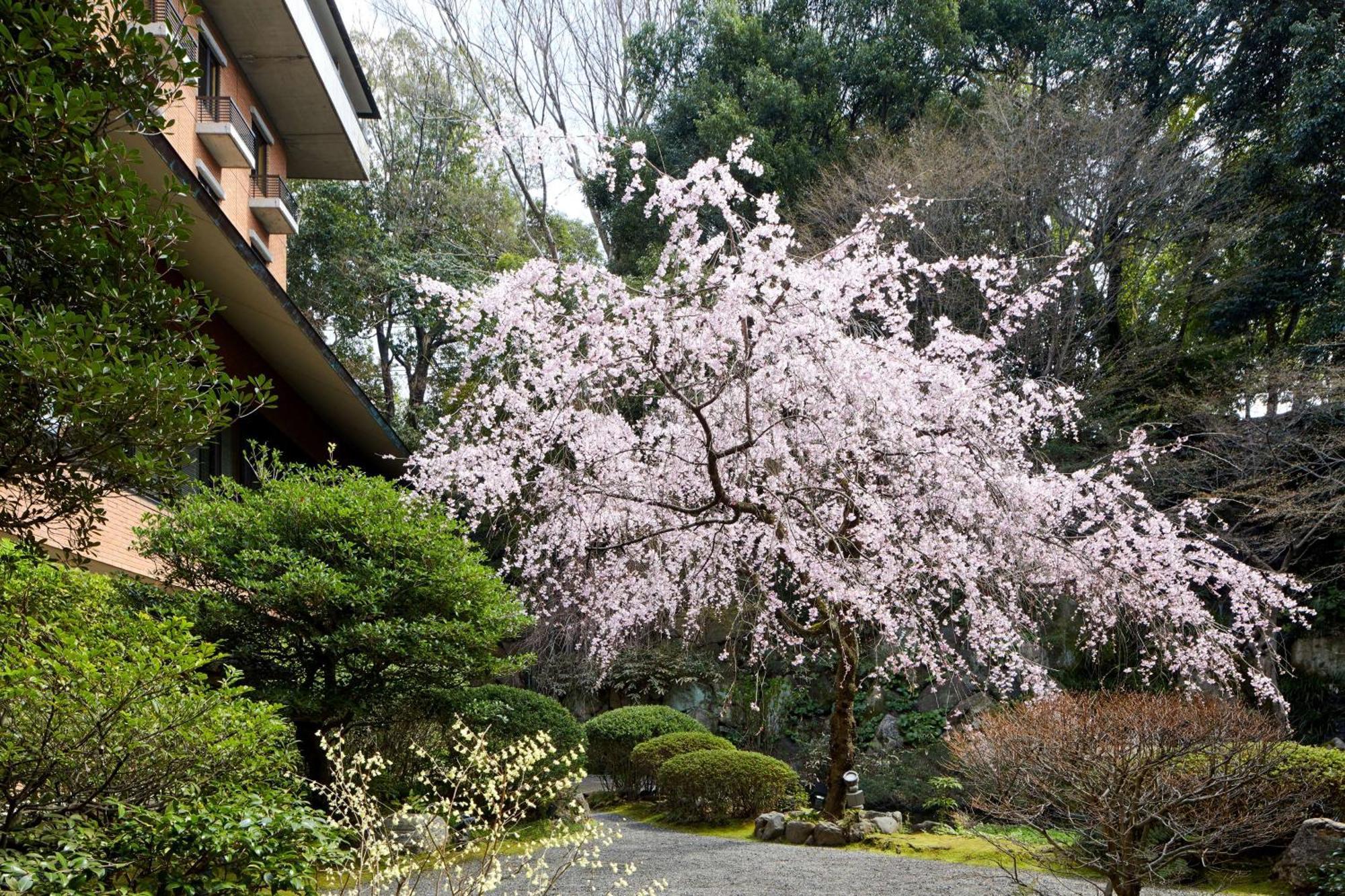 Hotel Hyatt Regency Kyōto Exterior foto